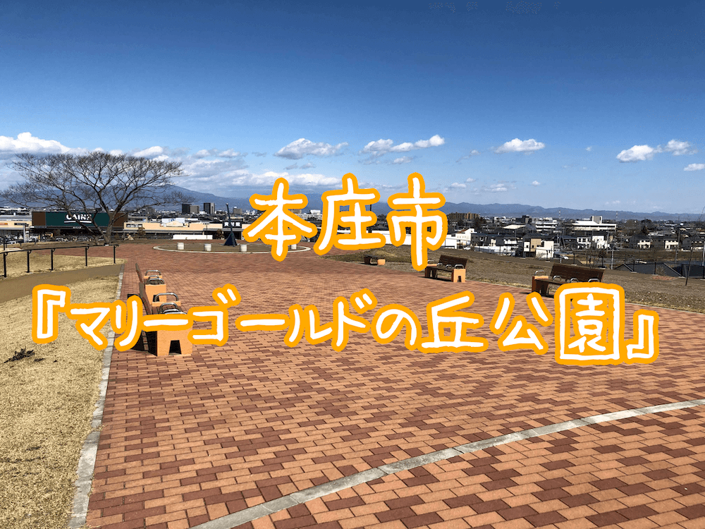 本庄市早稲田の杜にある マリーゴールドの丘公園 に行ってきた さいほくらし 埼玉北部 群馬南部のローカルメディア